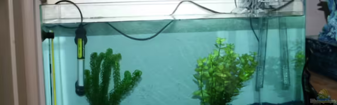 Becken 9791 von Taki