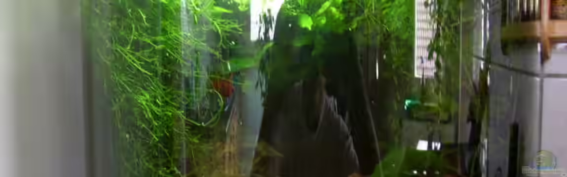 Becken 9795 von Graf