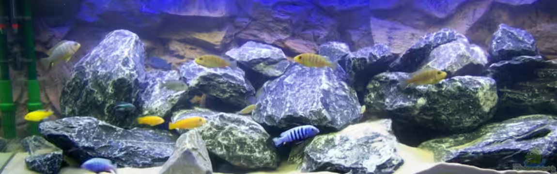 Becken 9840 von FinalDragon