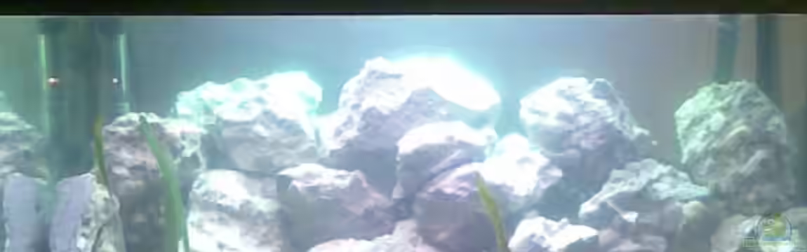 Becken 9853 von Danny Fröhlich