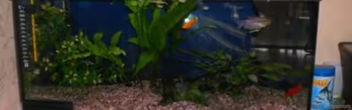 Becken 9922 von Stefan Georgi