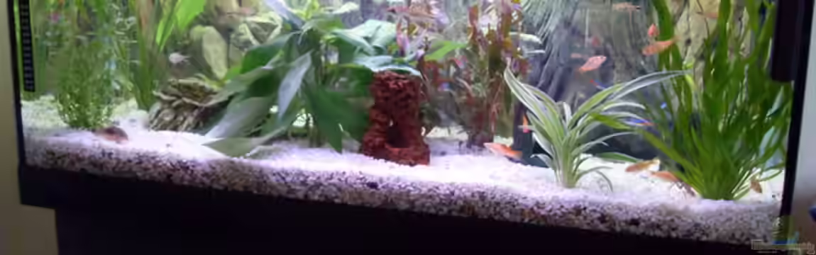 Becken 9940 von Sven Delbederis