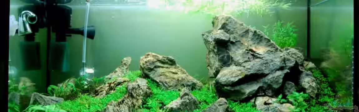 Berge im Glaskasten von Kuro-Schio