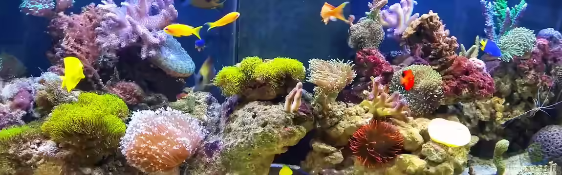 Beyond the time... von Tim1979