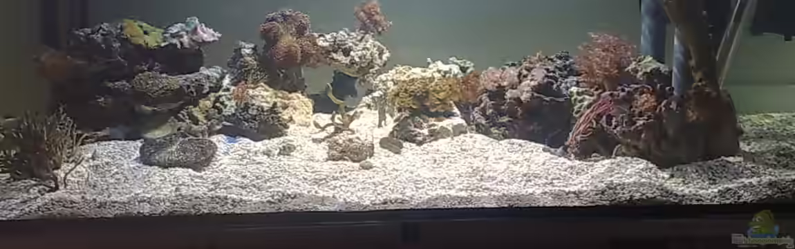 BIKINI BOTTOM von Spongebob