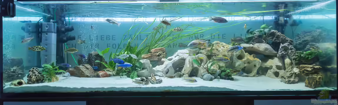 Bis zum bitteren Ende von Martin Pröll