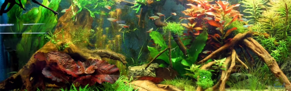 BiTs Eckkneipe von Christoph Bader