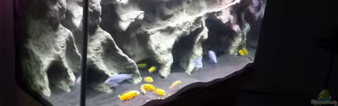 Bjuman's Malawi von Bjuman