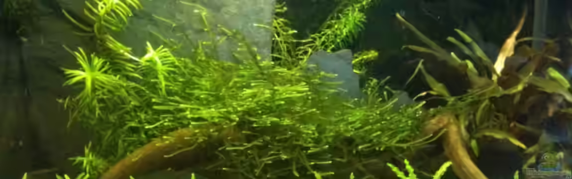 BüroAQ - nur noch Beispiel von Zarquon