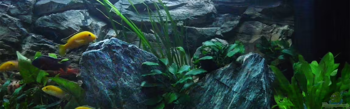 Chrisly on Malawi von Chrisly