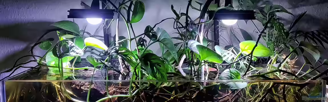 Clearwater part, Rio Orinoco, Venezuela von Aquawelten