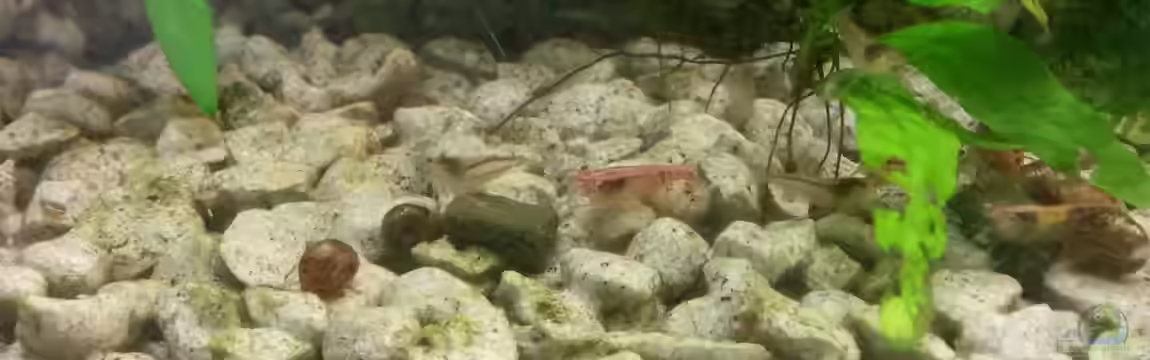 Das Laborbecken von ogra