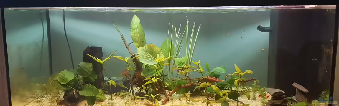 Das zuunkreativfüreinenNamen-Becken von Timo23