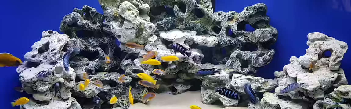 Delta Malawi Becken von Wilmink1977