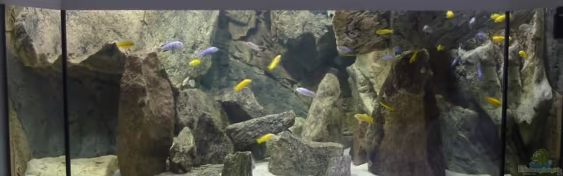 Delta Rock von Olaf H.