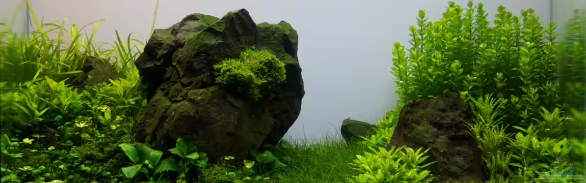 Der Hohe Hagen - aufgelöst - von Micha...