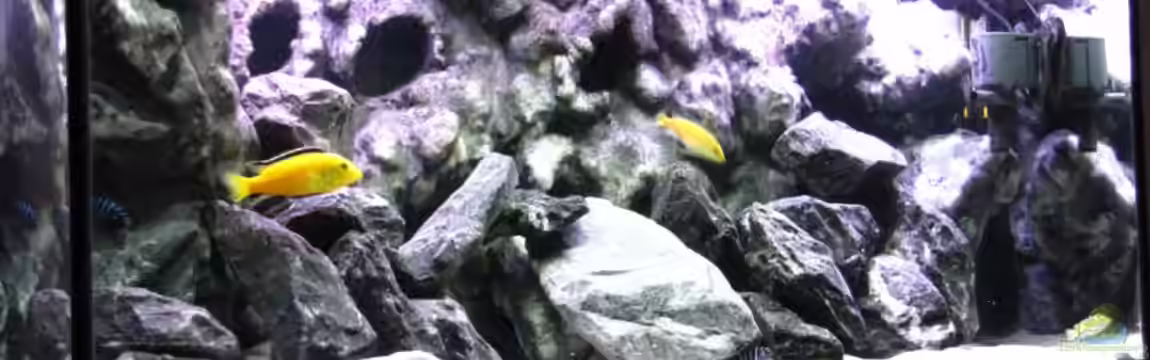 Der Zerg Tempel by Malawifreak von Malawifreak