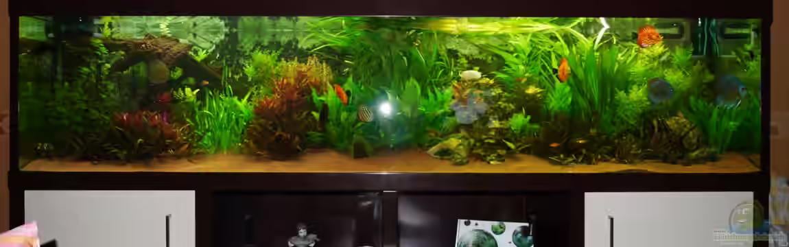 Diskusbecken von Mella