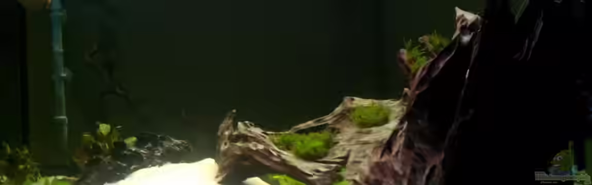 Diskuseum von diskuseum