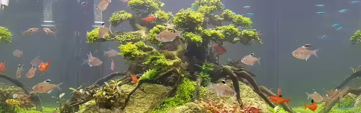 Drachenberg 60x60x60 Cube von Enyo