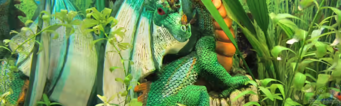 Dragonslayer - Lido 120 von Hobbl