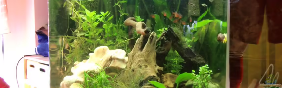 Dream of Amerika von kili