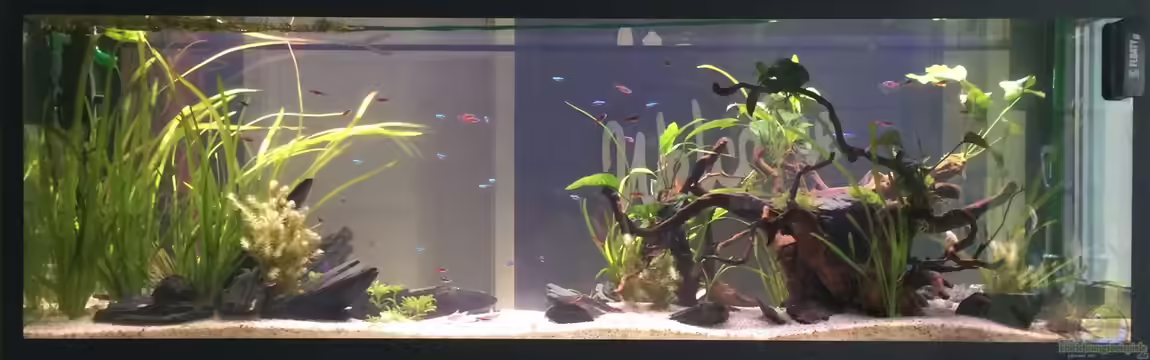 Durchbruch von Steven Dietrich