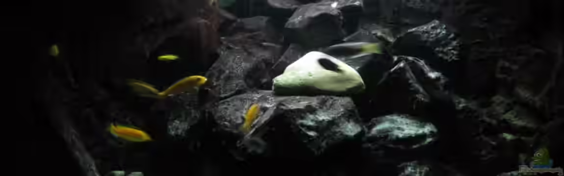 Eck - Aquarium von HessiJames