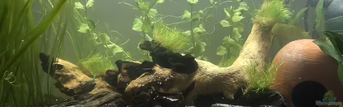 EHEIM aquastar63 Limited Edition von AlreadyTaken