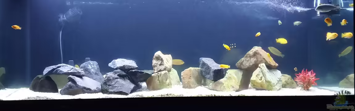 Eheim Incpiria 530 von Ingo Weyer