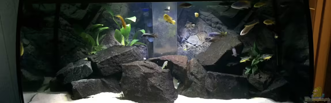 Eheim Scubabay von Andy Rothe