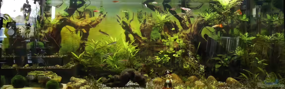 Eheim Vivaline 240 von kielerteam