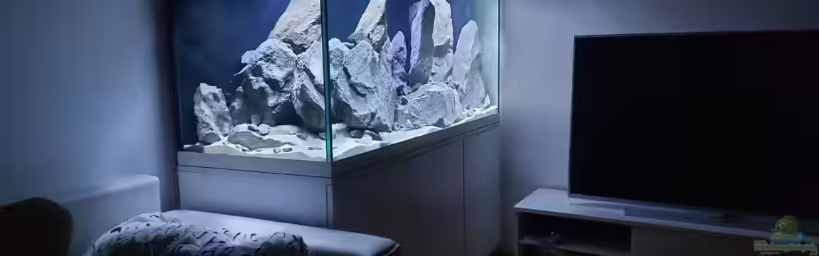 Eifel-Phonolith Mbuna von Airlifter