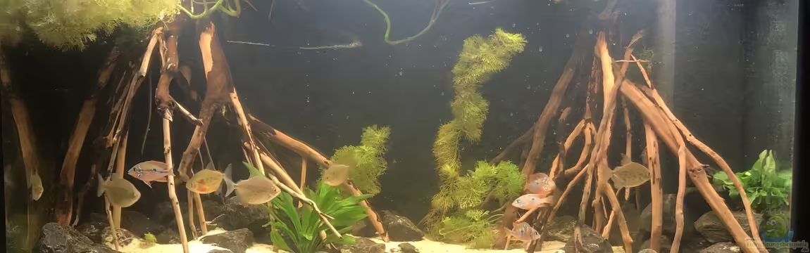 Elliots Ufer von Patrick T