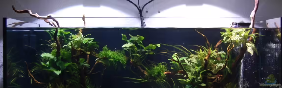 Elos System 120 von Johnboy