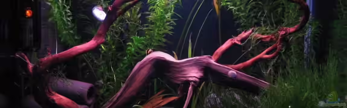 Erinnerung von max-sonic