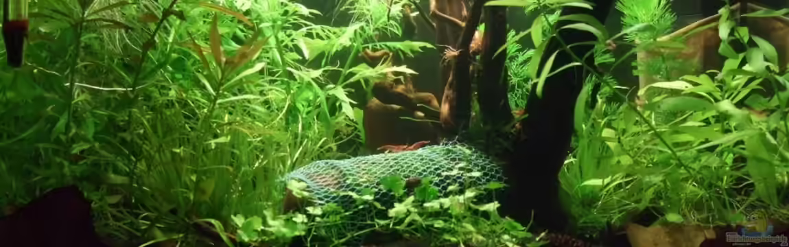 Es hängt von lukasg