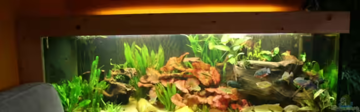 es war einmal... von Minzi