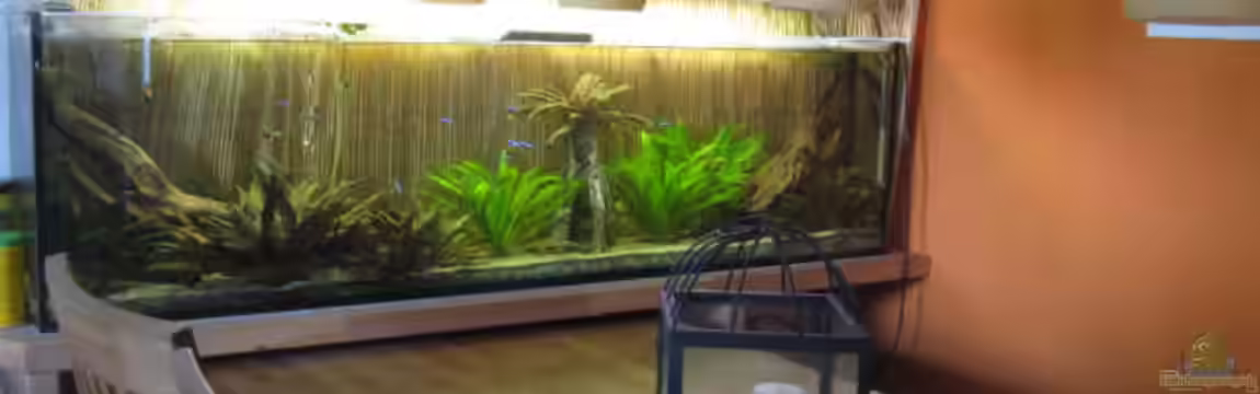 Esstischbecken von Andrea