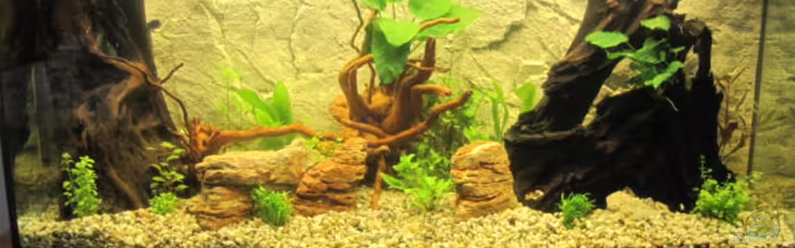 Fischbunker von Markus 03