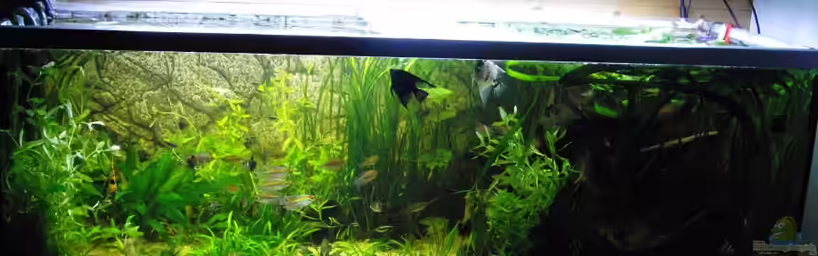 Fischsuppe von Yvonne Storms