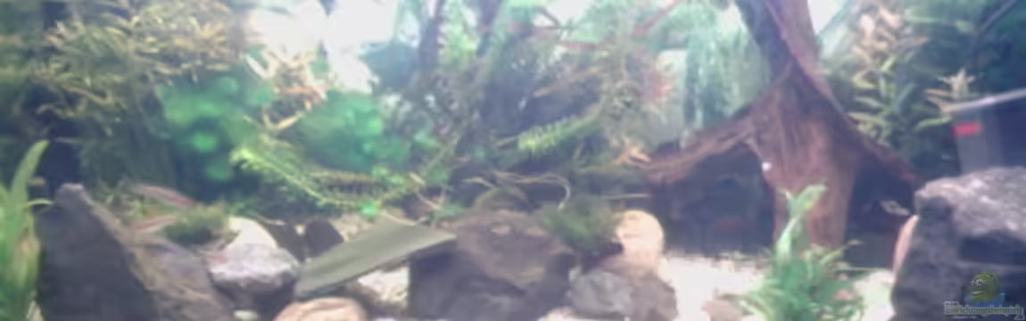 Flussbecken/Strömungsbecken - 300Liter von Gin