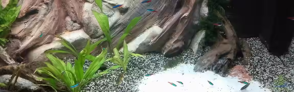 Flusslandschaft von Oldman