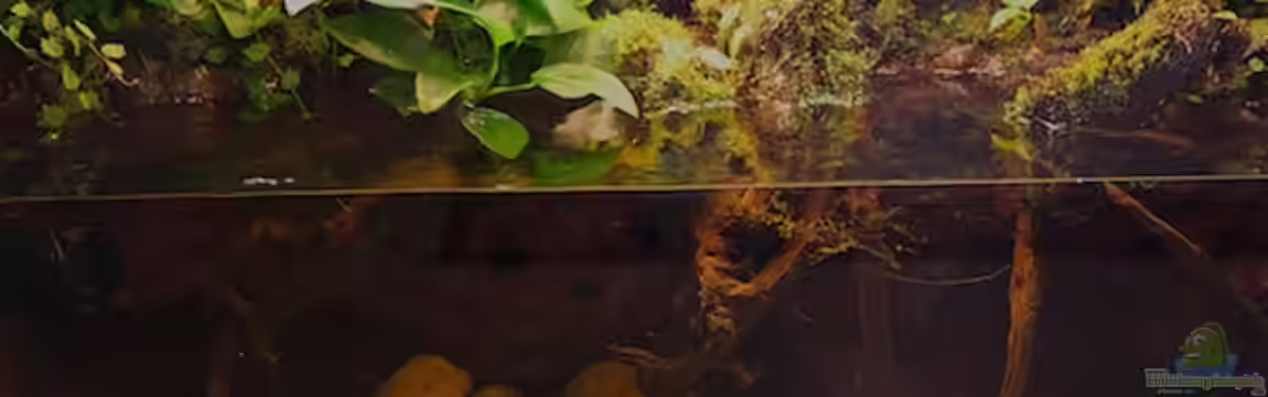 Flussufer174 von diveman