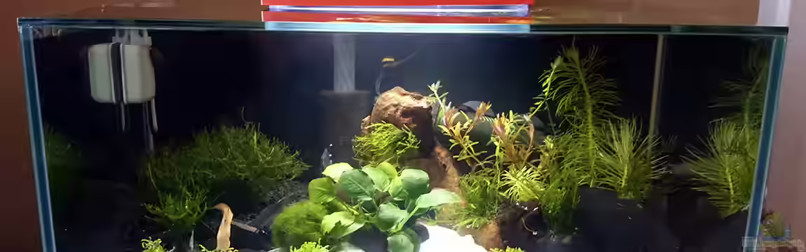 Fluval Edge 2 von Fabian G