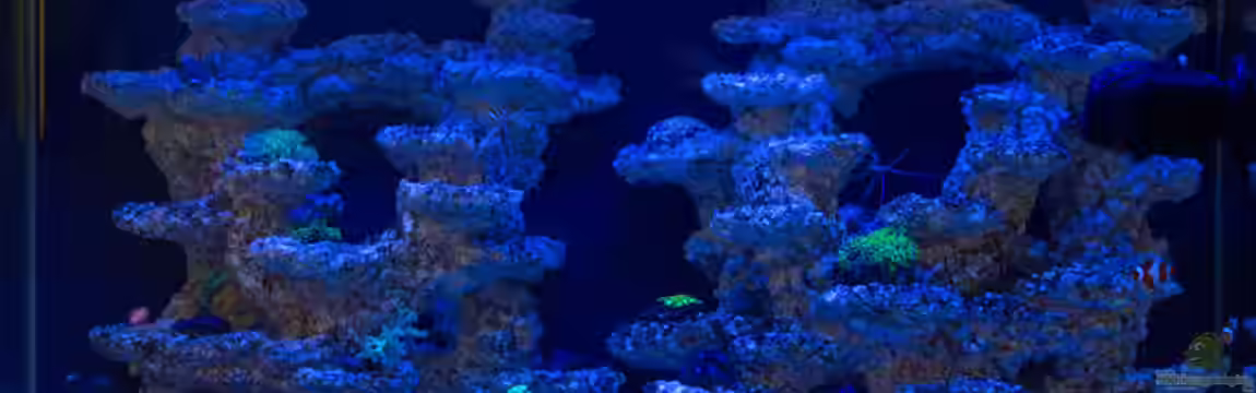 Fluval M90 von mmbm78