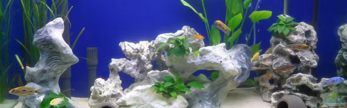 Fluval profile 1000 Bambusoptik von Steff22