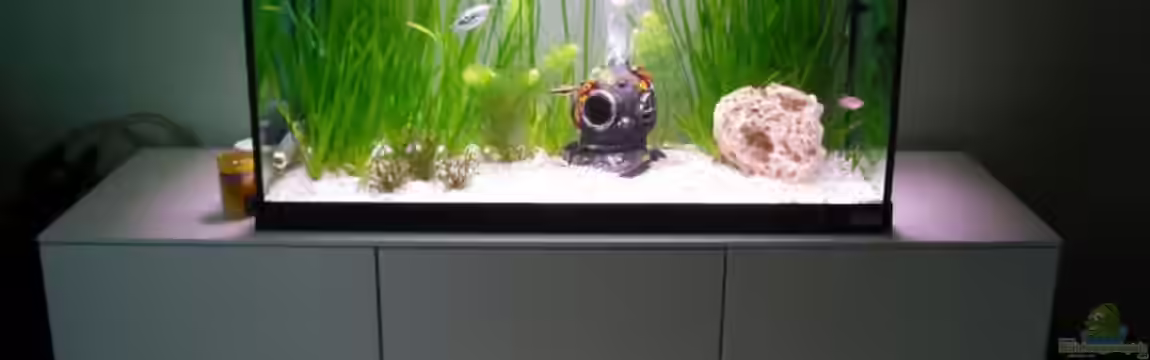 Fluval von switchy66