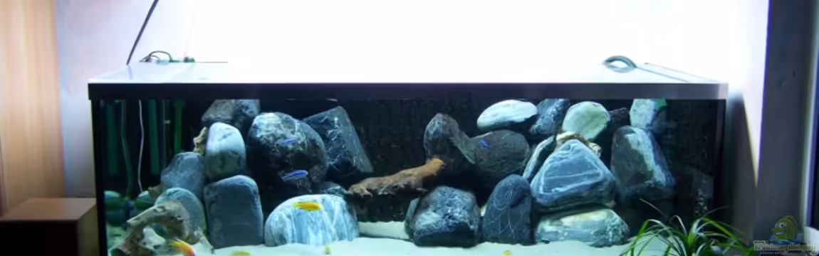 Frank`s Malawi von Frank Wissner