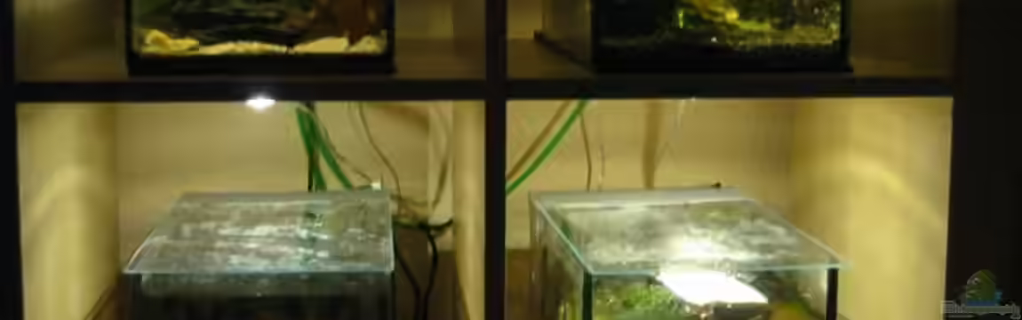 Futterbecken von Christina Studt